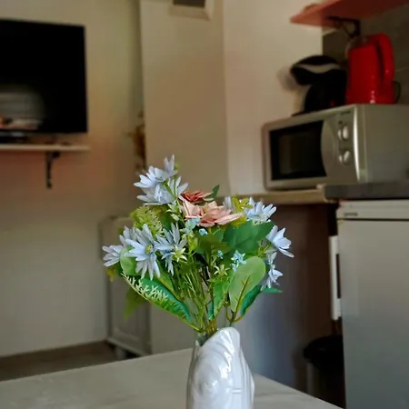 Orhan Apartment *