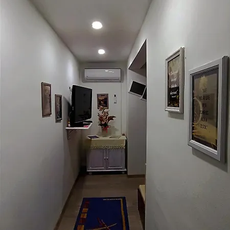 Apartment Orhan *
